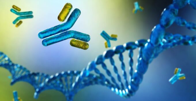 Immunoglobulina G — normy i znaczenie dla organizmu